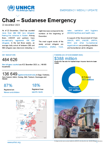 Chad: Sudan Emergency Response Update | Global Focus